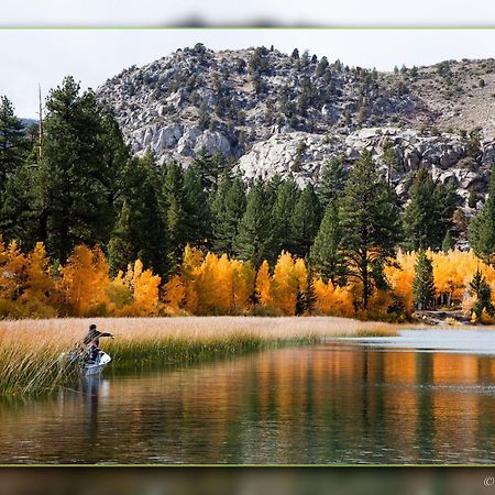Lake Front Cabins Джун-Лейк Экстерьер фото